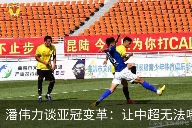 潘伟力谈亚冠变革：让中超无法喘息 球迷不用看了